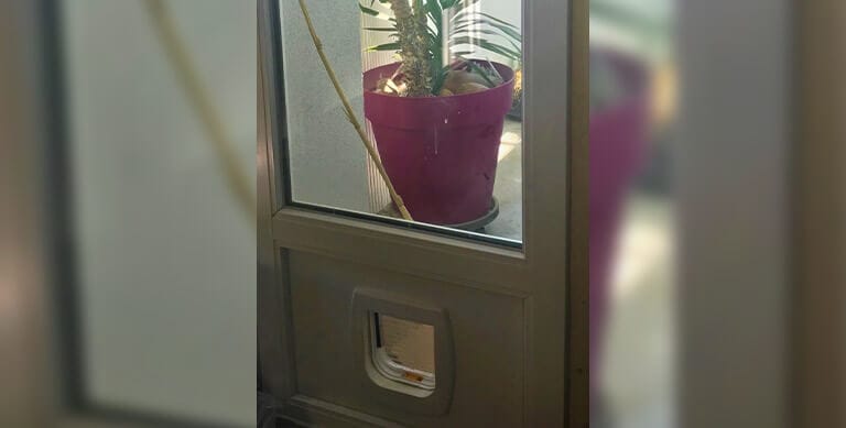 fenêtre-fixe-avec-chatière-intégrée-en PVC